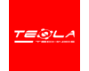 TESLA TECHNICS