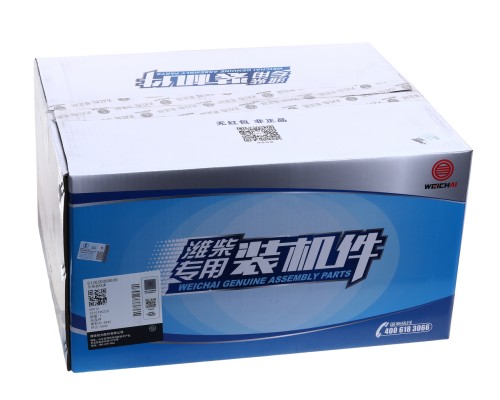 Трубка топливная SHACMAN SHAANXI дв.WP12 высокого давления комплект OE