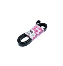 Ремень КАМАЗ, ПАЗ дв.CUMMINS 4BT, 6BT генератора PRAVT