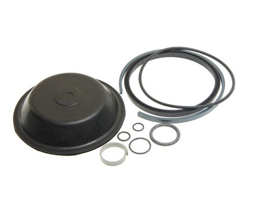 Ремкомплект КАМАЗ энергоаккумулятора тип 20/20 (9 поз.) БИФОРМ