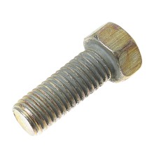 Болт М10х1.5х25 ГАЗ-3302 крепления ФТОТ,  заднего моста ЭТНА