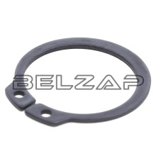 Кольцо BPW ступицы стопорное (24x1.2) DT