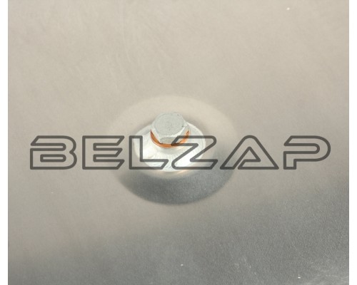 Заказать Бак топливный SHAANXI X5000 OE, DZ91259550600, SHACMAN в  Онлайн-автомагазине Belzap.ru