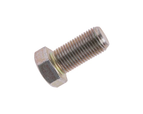 Болт М10х1.0х20 ГАЗ-2217, 2705 опоры механизма двери боковой