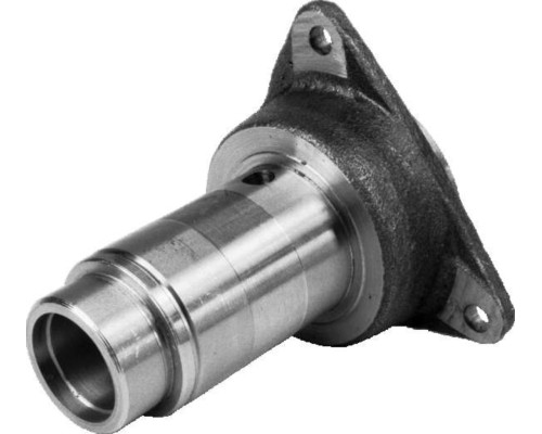 Гнездо МТЗ подшипника САЛЕО-ГОМЕЛЬ (ГП)