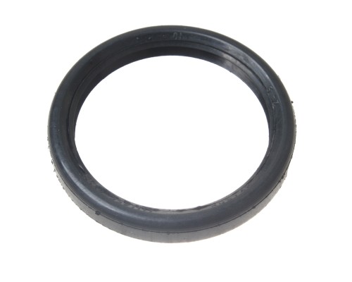 Манжета КАМАЗ кулака разжимного ROSTAR