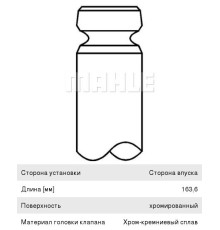 Клапан впускной DAF 95XF дв.WS242G MAHLE