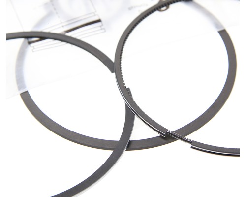 Кольца поршневые ГАЗ-3302 дв.УМЗ ЕВРО-4 d=100.0 (с низк.кольцами) компл. на дв.G-PART (ОАО ГАЗ)