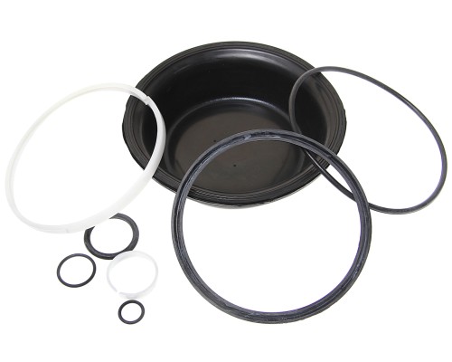 Ремкомплект КАМАЗ энергоаккумулятора тип 24/20 (9 поз.) БИФОРМ