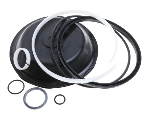 Ремкомплект КАМАЗ энергоаккумулятора тип 24/24 (9 поз.) БИФОРМ