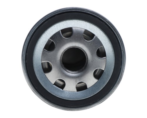 Фильтр топливный JAC HFC1040K TSN