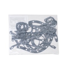 Прокладка двигателя ЯМЗ-236НЕ, БЕ комплект общ.ГБЦ (29 наименований) РД