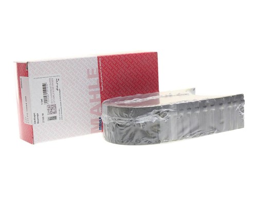 Вкладыши DAF дв.1160, WS295, 268, 225, 259, 282 шатунные STD комплект (12шт.) MAHLE