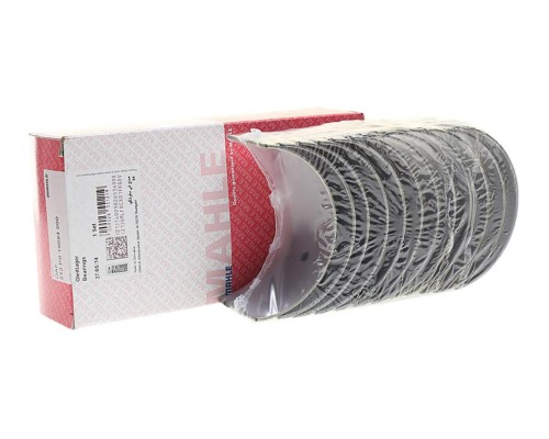 Вкладыши DAF дв.1160, WS295, 268, 225, 259, 282 шатунные STD комплект (12шт.) MAHLE