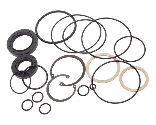 Ремкомплект МАЗ-64221, 64227 ГУРа с распределителем (14 поз./19 дет.)