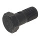 Болт-штуцер М10х1.0х19 Д-245, Д-260 на форсунку ММЗ