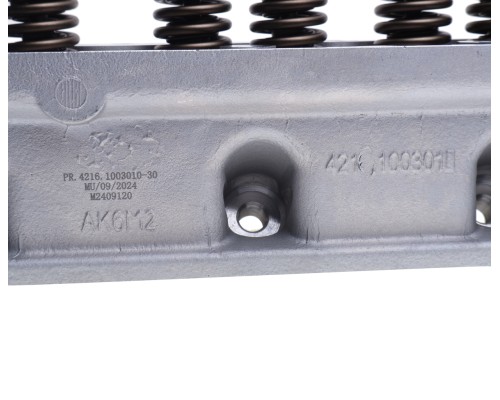 Головка блока ГАЗ-3302 Бизнес дв.УМЗ-4216 ЕВРО-3, 4 в сборе PRAVT