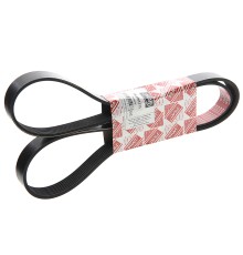 Ремень приводной поликлиновой 8PK1575 PRAVT