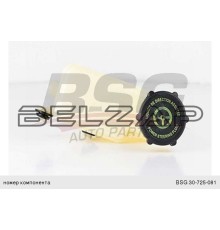 Бачок ГУРа FORD Transit, BSG30725081, BSG