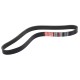 Ремень приводной поликлиновой 8PK1092 SHACMAN SHAANXI DONGIL