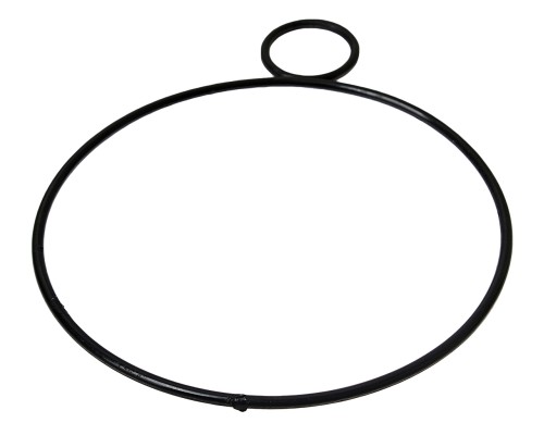 Кольцо ЯМЗ-ЕВРО-3 насоса масляного КПП уплотнительное РД