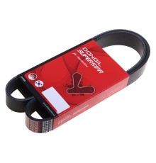 Ремень приводной поликлиновой 8PK1077 JAC N350 кондиционера DONGIL