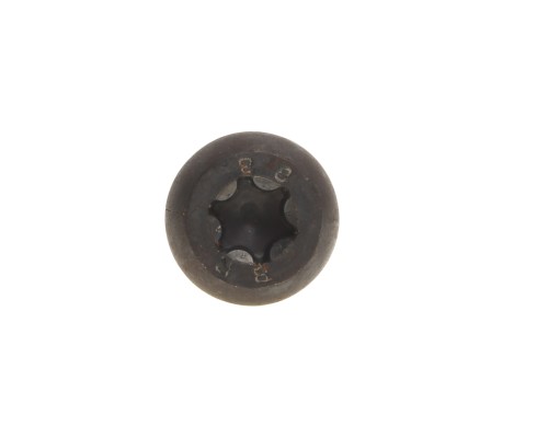 Болт М8х1.25х25 ГАЗ-3102 успокоителя цепи нижнего БОЛТЕН