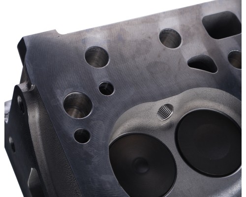 Головка блока ГАЗель Next , Бизнес дв.А-274 в сборе с клапанами PRAVT