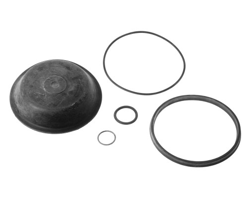 Ремкомплект ЗИЛ, МАЗ энергоаккумулятора тип 24 РААЗ