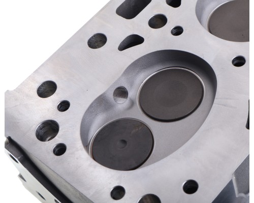 Головка блока ГАЗель Next дв.А-274, 275, 2755 (под ГБО) в сборе с клапанами PRAVT