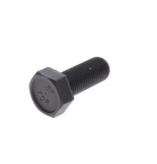 Болт М12х1.25х30 ВАЗ-2108, КАМАЗ, НЕФАЗ многоцелевой (кл.проч. 10.9) БЕЛЗАН