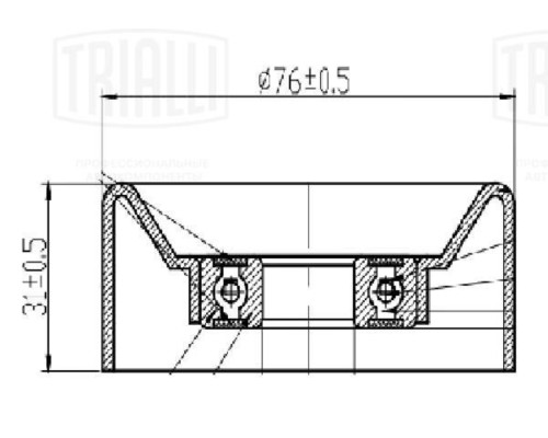 Ролик ГАЗ-31105 дв.Крайслер обводной TRIALLI