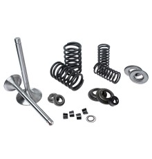 Клапан впуск/выпуск ЯМЗ-236, 238 ремкомплект полный (9 наименований) РД