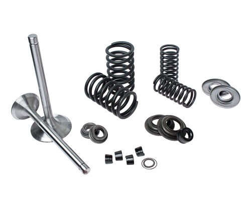 Клапан впуск/выпуск ЯМЗ-236, 238 ремкомплект полный (9 наименований) РД