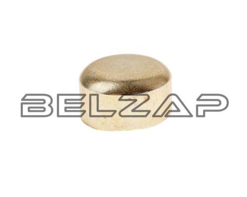 Заглушка Д-245 блока цилиндров малая ММЗ