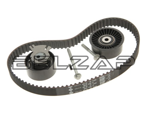 Комплект ГРМ RENAULT Laguna (01-07),Master (00-), 530019810, INA